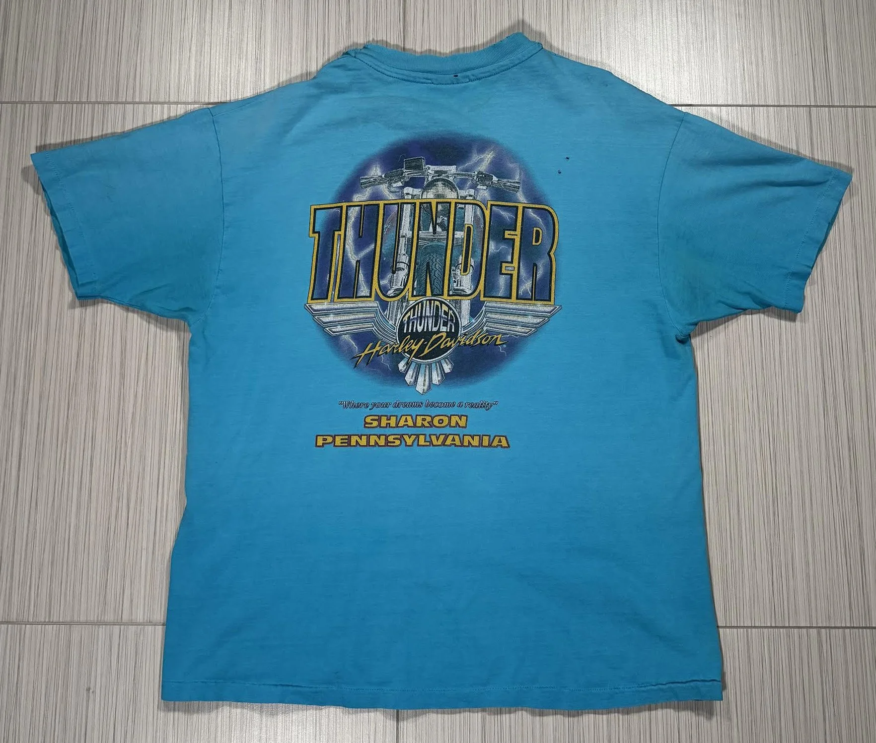Vintage Harley Davidson Riders Choice Teal T Shirt (Size XL
